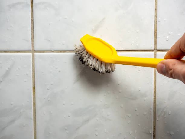 Reliable White Cloud, MI Mold Remediation Solutions
