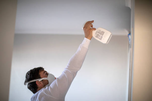 Best Industrial Mold Remediation in White Cloud, MI